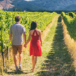 Discover the Most Popular Hunter Valley Wineries