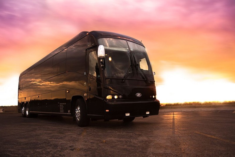 How the Party Bus Services can Help