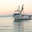 Knowing about fishing boats