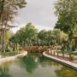 Peaceful park scene featuring a serene pond, a wooden bridge, and lush greenery. — Start Your Global Veterinary Career: Inter